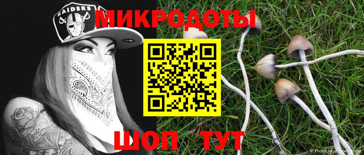 Псилоцибиновые грибы Cubensis Джанкой